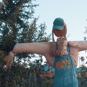 Meet your Posher, Shea